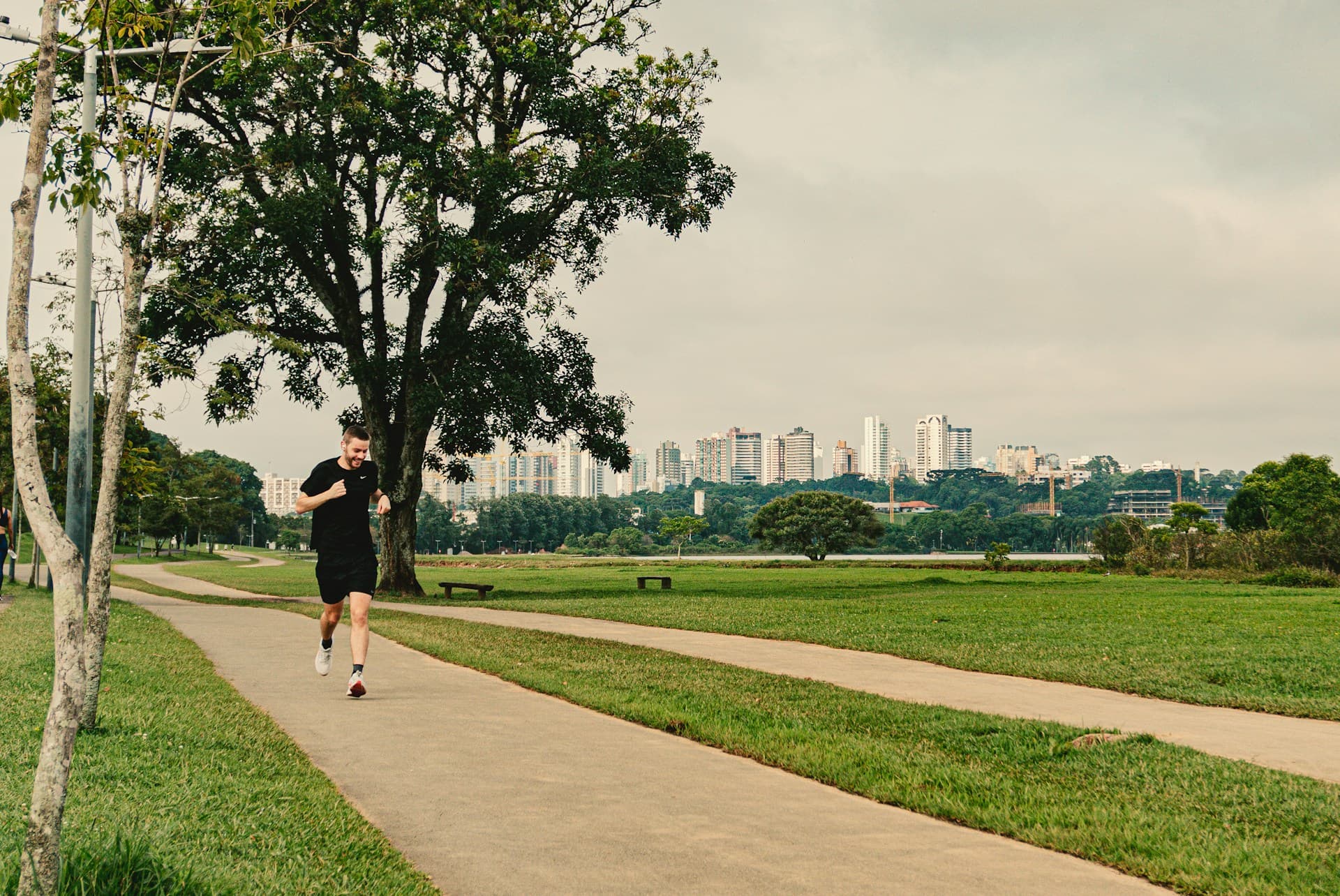 Fartlek Workouts: The Ultimate Guide to Speed Play Training for Runners